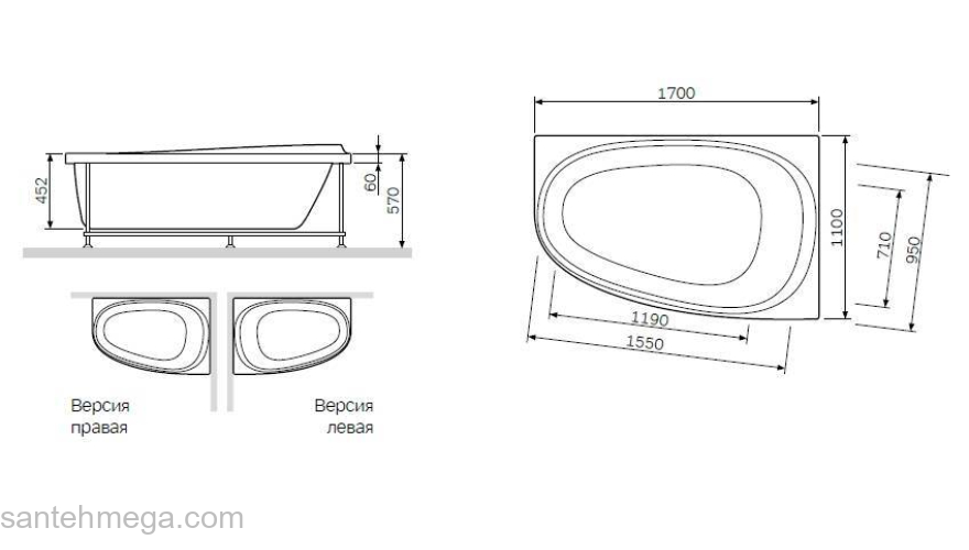 Декоративная фронтальная панель для ванны 170х100 см AM.PM Like W80A-170U110W-P. Фото