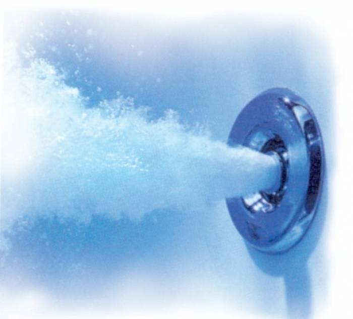 Гидромассаж ТРИТОН Кэт. Фото